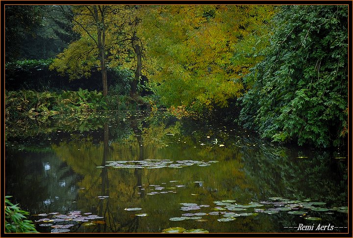 photo "autumn in the arboretum" tags: landscape, autumn, water