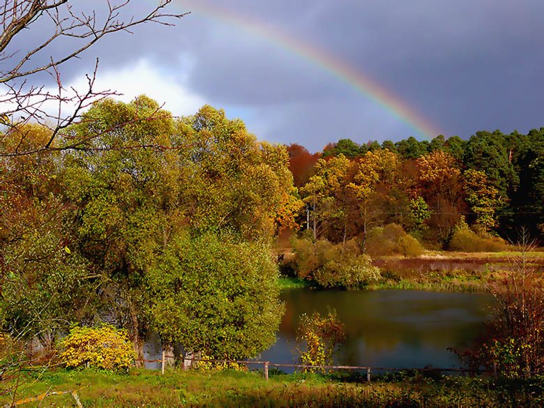 photo "***" tags: landscape, autumn