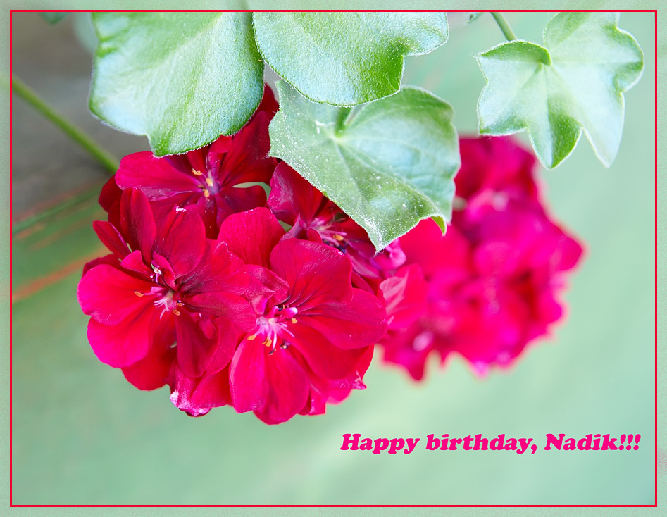 photo "Happy birthday, Nadik!" tags: , 