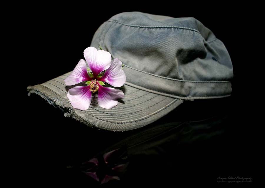 photo "" Meet Hat"." tags: abstract, still life, 