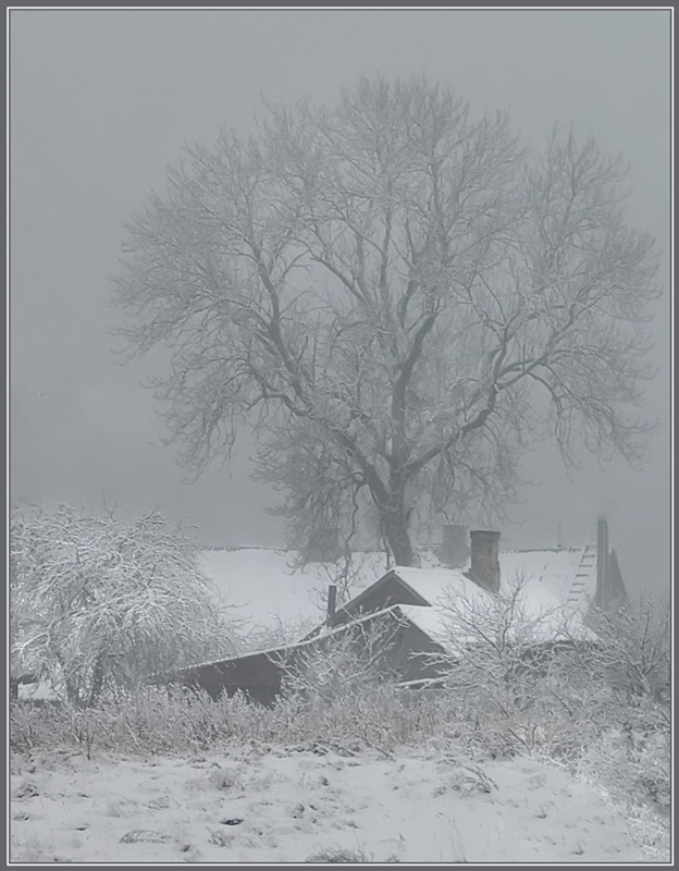 фото "Зимняя дремота" метки: пейзаж, зима