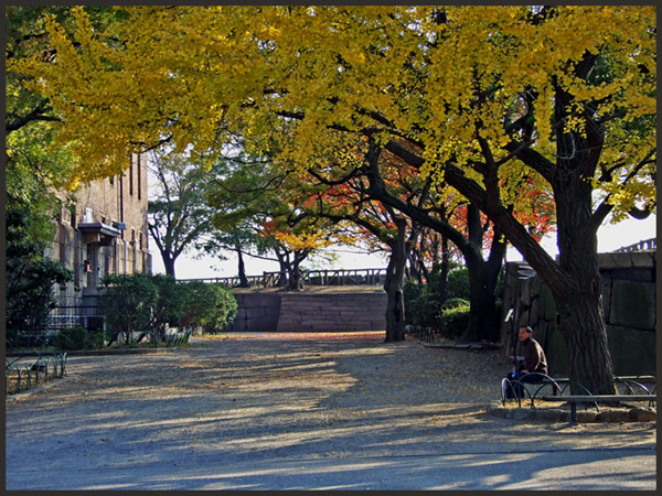 фото "Morning in Autumn" метки: путешествия, пейзаж, 