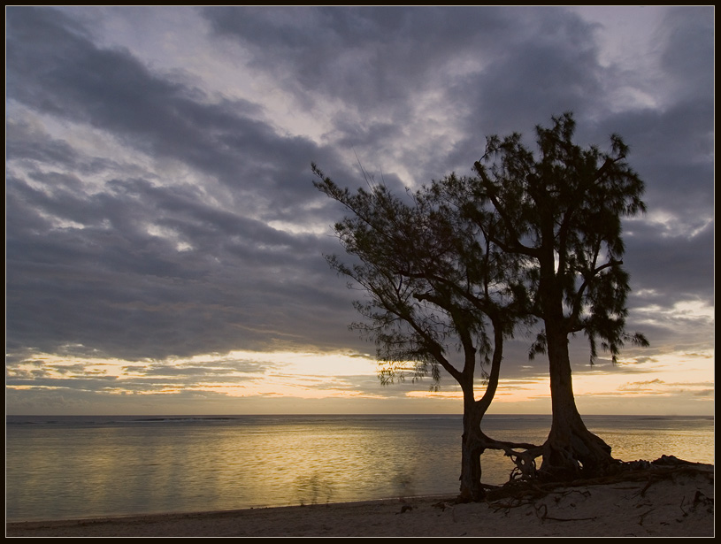 photo "Together forever" tags: landscape, travel, Africa