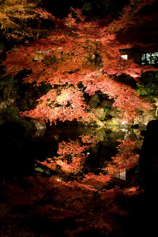 фото "Night Autumn" метки: пейзаж, ночь