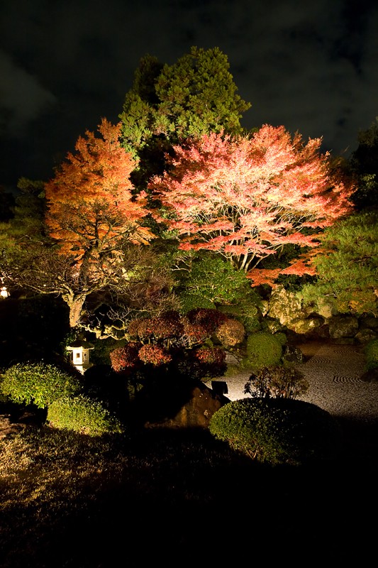 photo "Night Autumn 2" tags: landscape, night