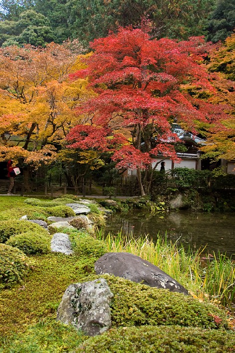 photo "Day Autumn" tags: landscape, autumn