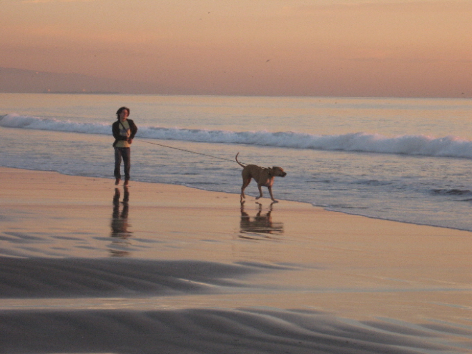 photo "Walking a dog." tags: landscape, nature, pets/farm animals, sunset