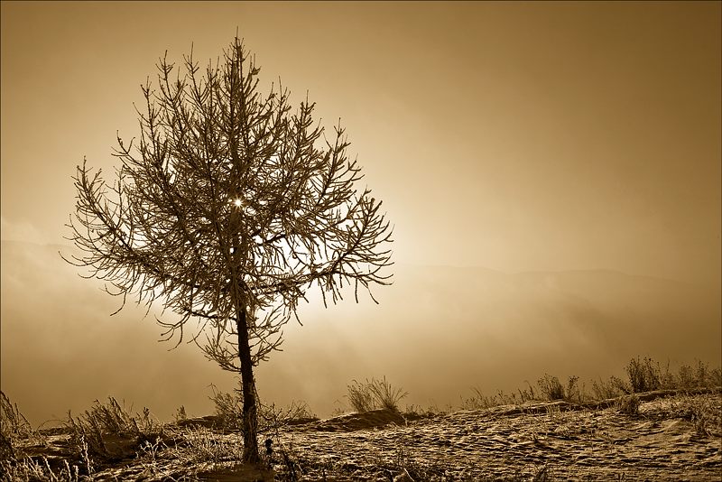 photo "* * *" tags: landscape, winter