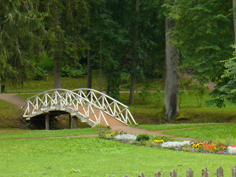 photo "Лесной мостик" tags: landscape, forest