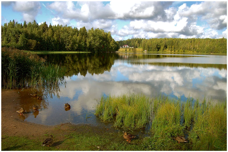 photo "***" tags: landscape, forest, water