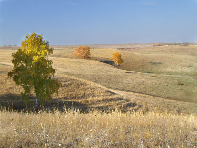 фото "холмы" метки: пейзаж, осень