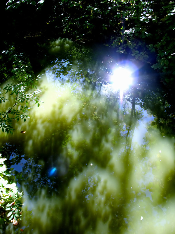 фото "***" метки: , 
