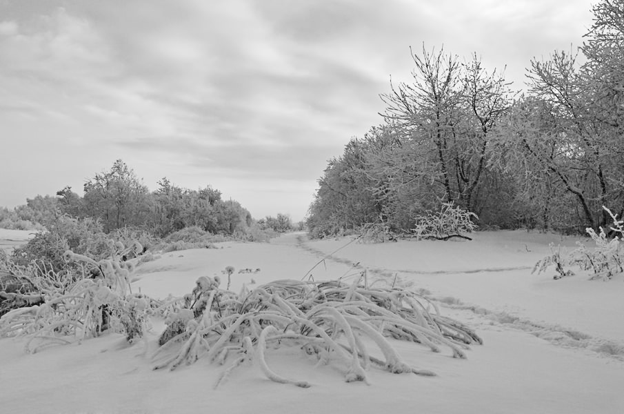 фото "Зимние фантазии" метки: черно-белые, пейзаж, зима