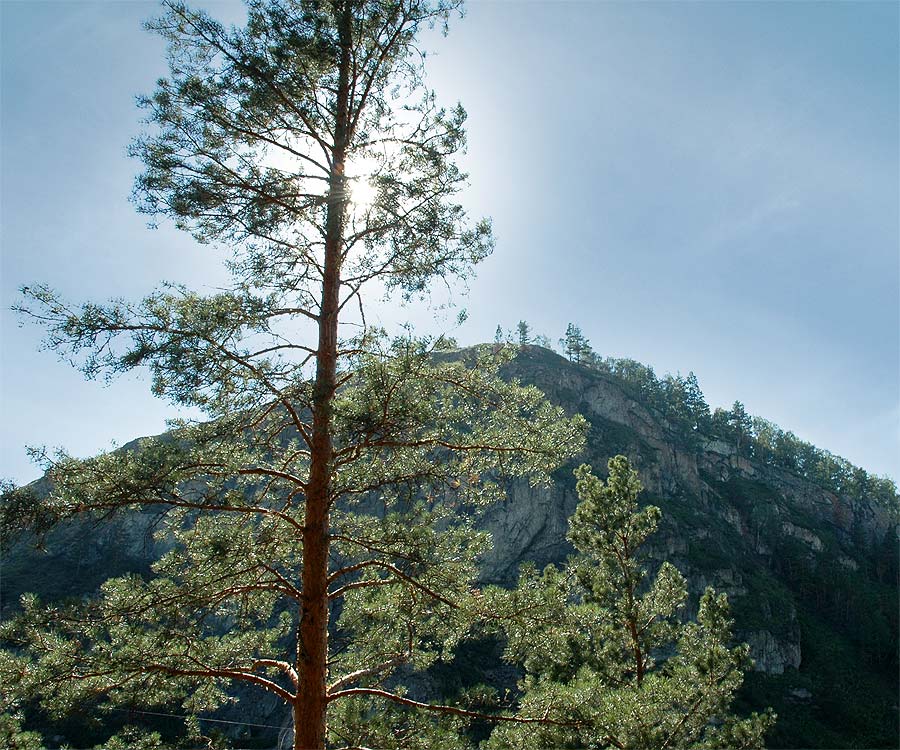 photo "***" tags: landscape, mountains, summer