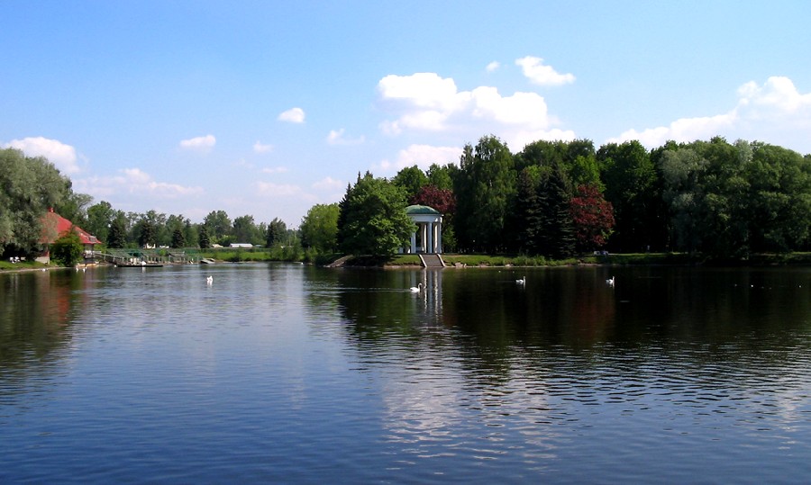 photo "The Swan Lake" tags: landscape, summer, water
