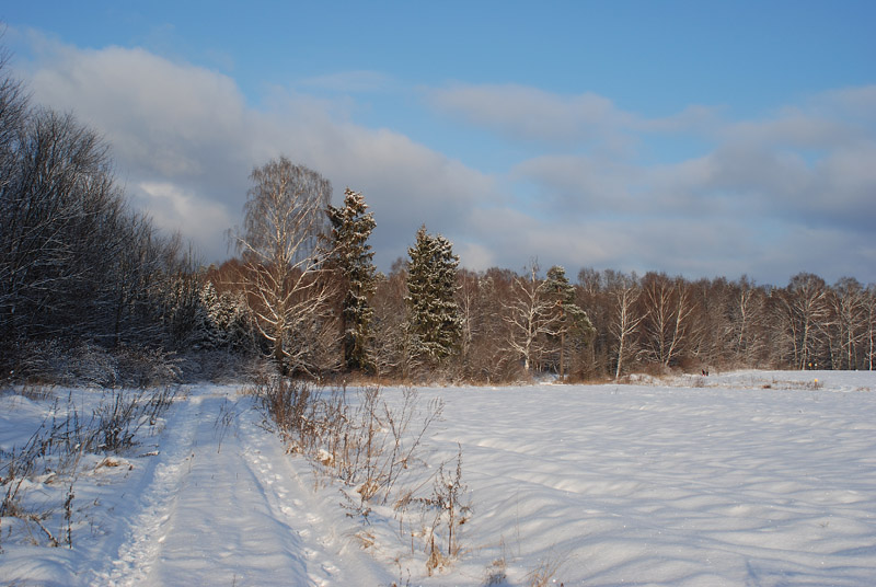 photo "How wants a real winter" tags: landscape, forest