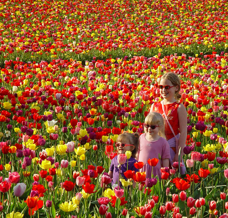 photo "Trinity" tags: landscape, portrait, children, spring