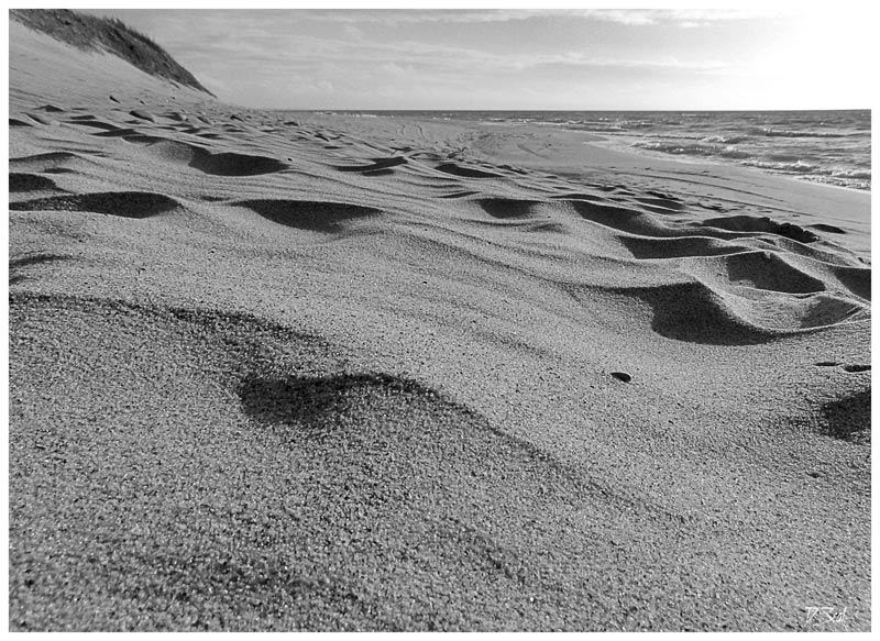 фото "балтийские пески" метки: черно-белые, пейзаж, 