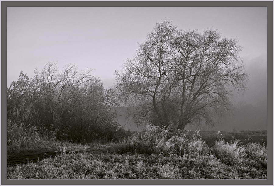 photo "***" tags: black&white, landscape, autumn