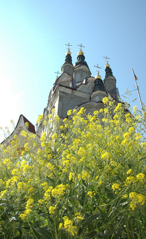 фото "Собор" метки: город, 