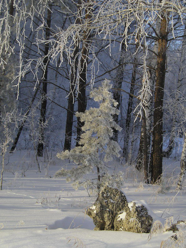 фото "просто..." метки: , 