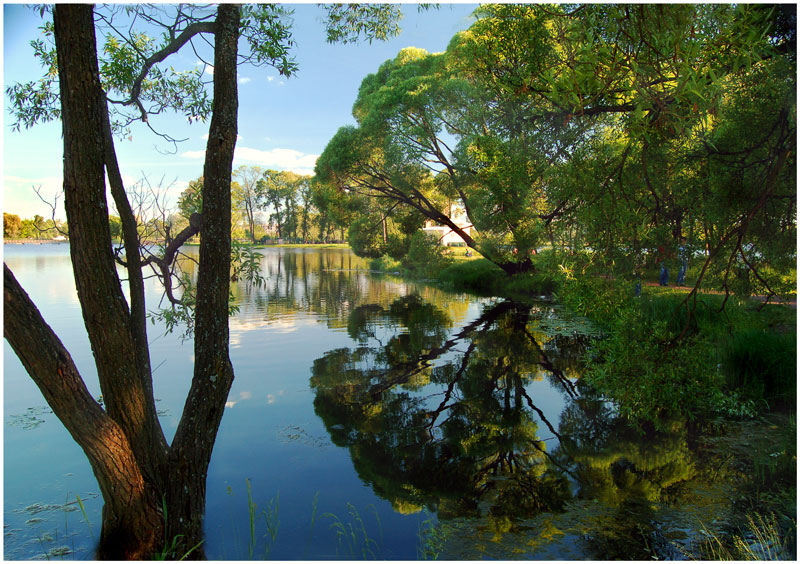 photo "***" tags: landscape, summer, water