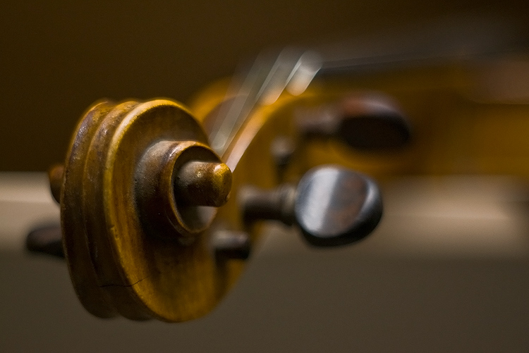 фото "the old violin" метки: разное, фрагмент, 