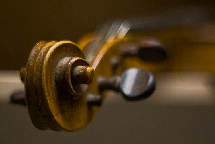 photo "the old violin" tags: misc., fragment, 