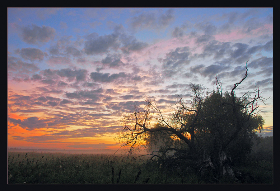 photo "***" tags: landscape, summer, sunset