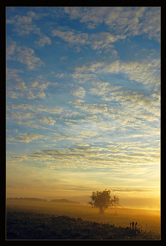 photo "***" tags: landscape, summer, sunset