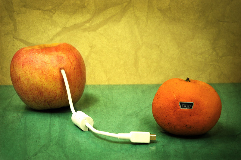 photo "Hybrid" tags: humor, still life, 