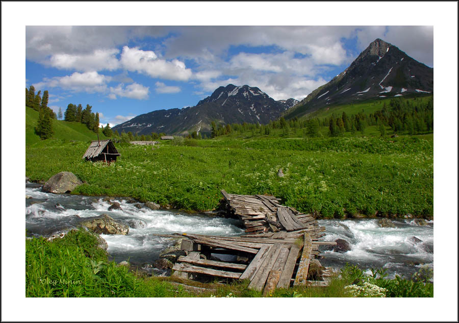 photo "The old bridge" tags: landscape, forest