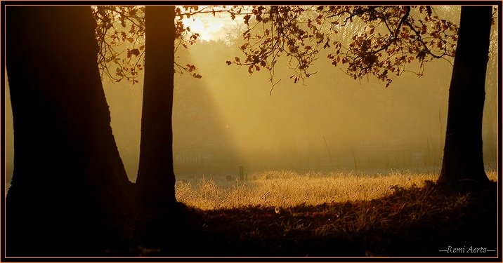 фото "misty sunset" метки: пейзаж, закат, осень