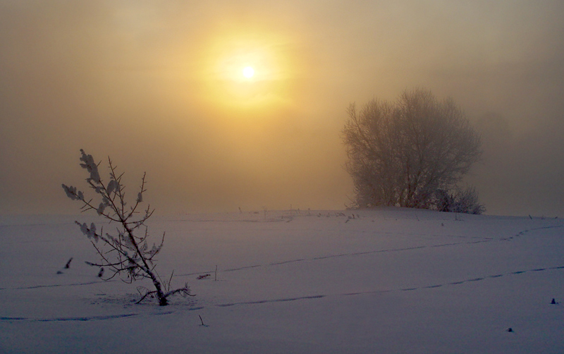 фото "Зимнее солнце." метки: пейзаж, закат, зима
