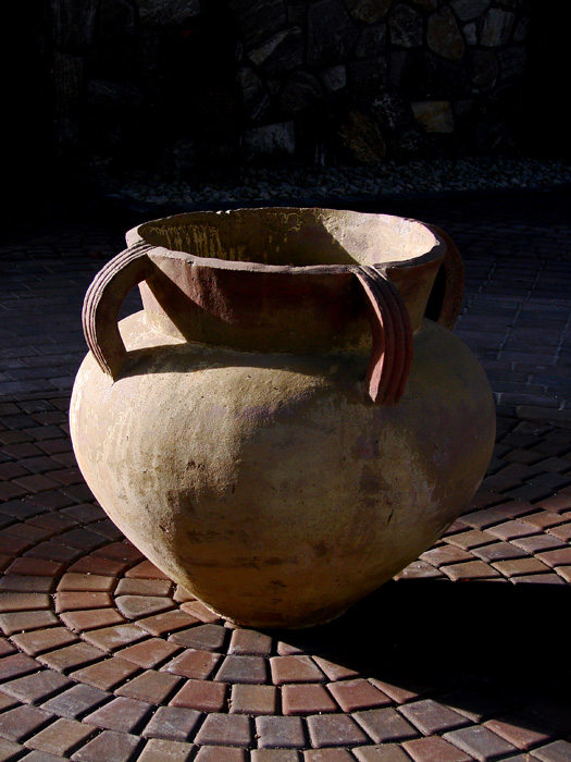 photo "Still Life at Belvedere" tags: still life, 