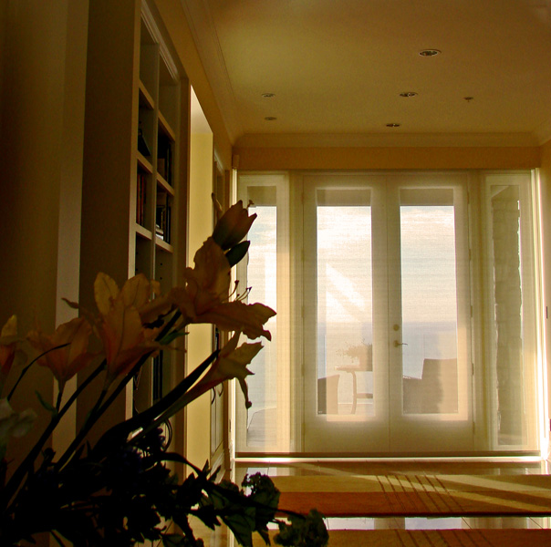 photo "Through The Window at Belvedere" tags: still life, 