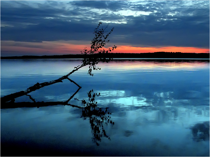 фото "Береза" метки: пейзаж, вода, закат