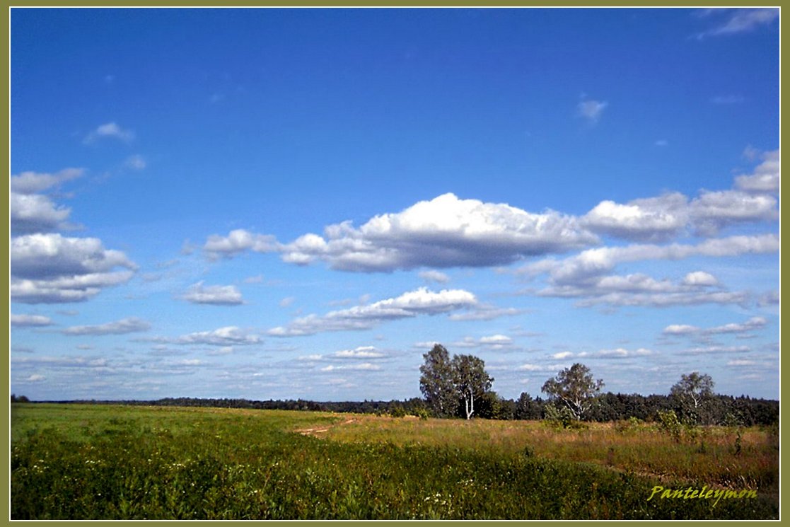 photo "***" tags: landscape, summer