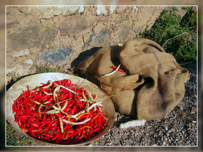 photo "***" tags: still life, travel, Asia