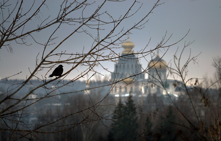 photo "***" tags: landscape, architecture, forest