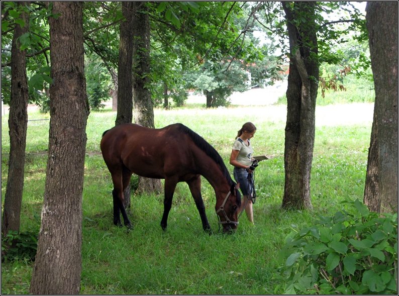 фото "Девочка и Лошадь" метки: пейзаж, природа, домашние животные, лес