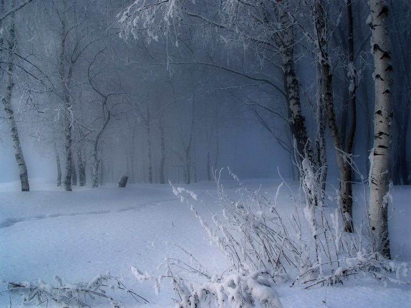 photo "***" tags: landscape, winter