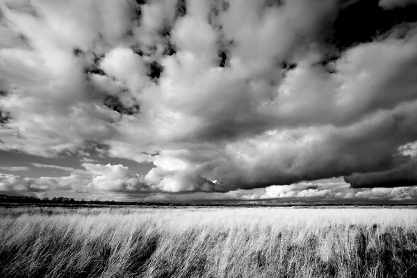 фото "Biebrza" метки: пейзаж, облака