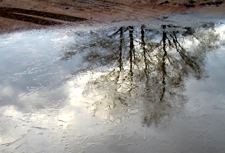 photo "The Point of Freezing" tags: landscape, water, winter