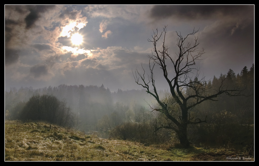 photo "***" tags: landscape, autumn