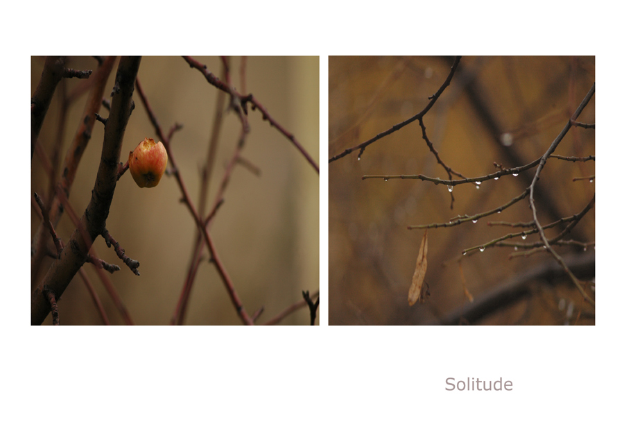 photo "solitude" tags: nature, 