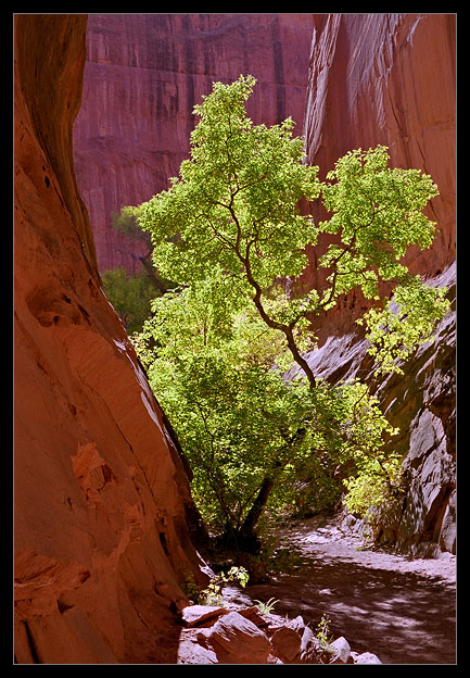 photo "In Slot Canyon / 0059_17" tags: travel, landscape, North America, mountains, rocks