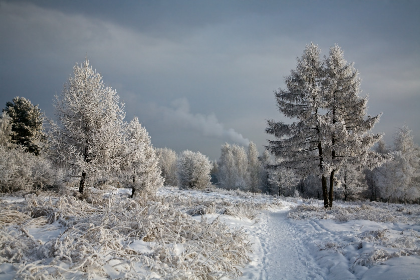 photo "***" tags: landscape, winter