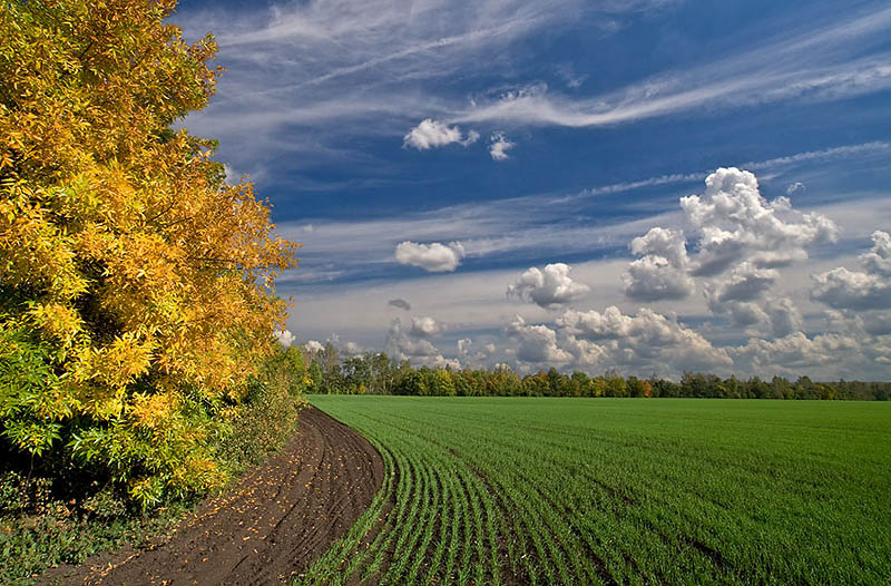 photo "***" tags: landscape, autumn