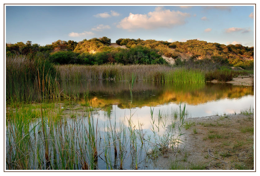 photo "***" tags: landscape, sunset, water